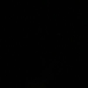 Meet your Posher, Adan